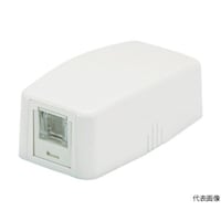 パンドウイットコーポ CAT6スプリングシャッター付きローゼットキット 1個口 白 JOQ1H600 1個