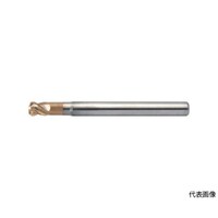 ���j�I���c�[���@���d�G���h�~���@���W�A�X�@�ӂP�O�~�R�[�i�q�R�@�g�q�q�r�S�P�O�O�R�O�R�O�r�@�P�{