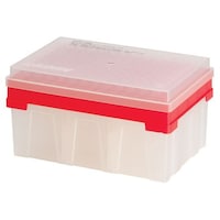 ���g���[�E�g���h�@��z���n�C�X���[�v�b�g