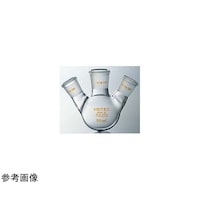 �R�X���X�r�[�h�@�Z�~�E�~�N���O���ے�t���X�R