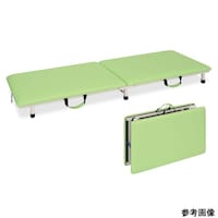 高田ベッド 付添ポータブル