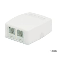 パンドウイットコーポ CAT6スプリングシャッター付きローゼットキット 2個口 白 JOQ2H600 1個