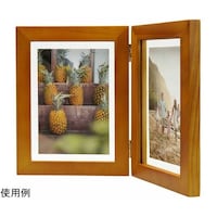 �P���R�[�E�g�L�i�[�@�ʐ^���ā@���N�G���@�c����