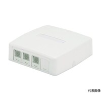 パンドウイットコーポ CAT6Aスプリングシャッター付きローゼットキット 4個口(3ジャック+1ブランク) 白 JOQ3BH6A00 1個