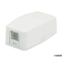 パンドウイットコーポ CAT6Aスプリングシャッター付きローゼットキット 1個口 白 JOQ1H6A00 1個