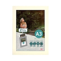 ハクバ インサートカラーペーパースタンドA3 クリーム MICPSA3CR 1個
