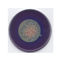 Merck MFC 寒天培地 微生物学用 111278 500G 1.11278.0500 1個