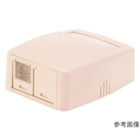 パンドウイットコーポ CAT6Aスプリングシャッター付きローゼットキット 2個口(1ジャック+1ブランク) 白 JOQ1BH6A00 1個