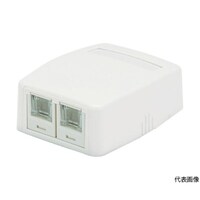 パンドウイットコーポ CAT6Aスプリングシャッター付きローゼットキット 2個口 白 JOQ2H6A00 1個