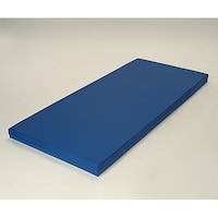 �O�a�����H�Ɓ@�ᔽ���E���^���}�b�g���X�u�T�X�e�B�i�v�X�P�������@�U�P�R�T�Q�P�T�P�@�P��