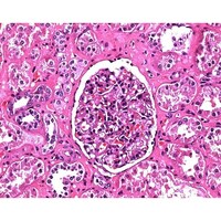 �l���������@�M���w�}�g�L�V�����@�R�@���F�t�@�������p�@�P�O�T�P�V�S�@�Q�D�T�k�@�P�D�O�T�P�V�S�D�Q�T�O�O�@�P��