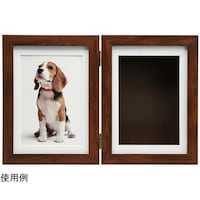 �P���R�[�E�g�L�i�[�@�f�B�X�v���C�t���[���@�u���E���@�o�r�l�e�Q�k�v�s�a�q�@�P��