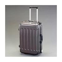 アズワン 480x300x700(H)mm/100L キャリーケース EA927DF2A EA927DF2A 1個