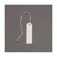 �A�Y�����@�S�T���P�Q�����@���t�^�O�i���^�T�O�O���j