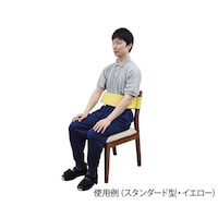 特殊衣料 トランスポートベルト スタンダード型 L グレー 4001