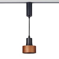 朝日電器 LEDライティングバー用ライト 220lm 昼光色 LRSPW01D(BK)