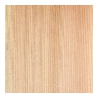 �A�[�e�b�N�@�V�R�������@�i�P�O�O�����j�@�T��