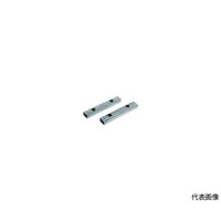 �A�Y�����@�A�v���C�g�o�C�X�i���͌^�j�@�����P�O�O�����p�����i�Q�P�g�j�@�r�q�u�P�O�O�j