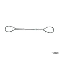 �A�Y�����@�v�X�����O�@�`�^�C�v�@�U�����w�Q�D�T���@�f�q�U�r�Q�D�T