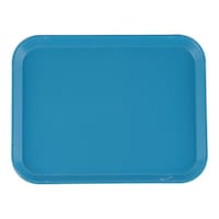 CAMBRO カムトレー(FRP) ロビンエッグブルー 1014