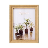 �n�N�o�@�t�H�g�t���[���@�e���A�R�@�Q�k�T�C�Y�@�P�ʁ@�i�`�������@�e�v�s�q�R�m�s�Q�k�P