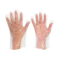 �~�h�����S�@�|���G�`�����g���̂Ď�܁@�G���{�X�Ȃ��@�N���A�@�k�@�i�Q�O�O�����j�@�u�d�q�s�d�T�T�O�m�k