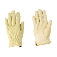 �쐼�H�Ɓ@�؃��C�i�[��܁@�P�O�o�@�r�@�Q�R�X�T�@�P�O�o�@�r