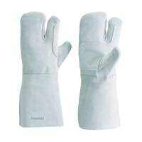 �A�Y�����@�P�u���[���g�p�n�ڎ�܁@�R�{�w�@���ȕt�@�j�d�u�x�s�R