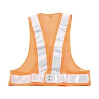 �A�Y�����@�k�d�c�t���S�x�X�g�@�I�����W�~���ˍރV���o�[�@�ΐF�k�d�c�@�s�e�`�a�O�R