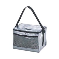 デリス シルバーソフトクーラー 6L M1850