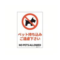 �Z�[�t�������S�p�i�@�i�h�r�K�i���S�W���X�e�b�J�[�@�y�b�g�������݂������������@�Q�T�S�~�R�T�U�����@�i�Q�T�X�X�r�l