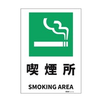 �Z�[�t�������S�p�i�@�i�h�r�K�i���S�W���X�e�b�J�[�@�i�����@�Q�T�S�~�R�T�U�����@�i�Q�T�V�V�r�l