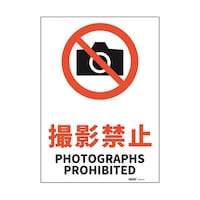 �Z�[�t�������S�p�i�@�i�h�r�K�i���S�W���X�e�b�J�[�@�B�e�֎~�@�Q�T�S�~�R�T�U�����@�i�Q�T�O�U�r�l