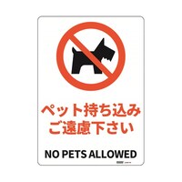 �Z�[�t�������S�p�i�@�i�h�r�K�i���S�W���i�g�h�o�r�j�@�y�b�g�������݂������������@�Q�T�S���R�T�U�����@�i�Q�T�X�X�o�l