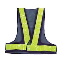 �A�Y�����@�Ԑ��ݓ_�łk�d�c�t���S�x�X�g�@�l�C�r�[�^�C�G���[���ˁ@�s�k�x�d�q�a