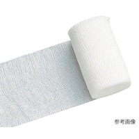 ���{�V�O�}�b�N�X�@�G���z���C�g�r�@�L�k��с@�Q���@�i�T�O�����~�X���j�@�P���i�P�O�����j�@�O�R�Q