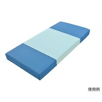 歯愛メディカル お手入れ簡単防水シーツPRO ミントグリーン