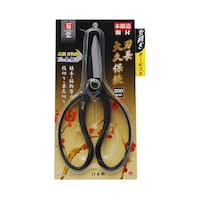 ���V�@�e���@�|�t�n����v�����@�Q�O�O�����@�Q�O�O�X�O�Q�T