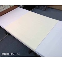 �݊y�@�p�C���h���V�[�c�@�N���[���@�l�q�Q�O�S�P