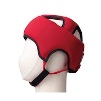 ����ߗ��@�ی�X�m�A�{�l�b�g�K�[�h�`�n�l�@���b�h�@�Q�O�V�Q