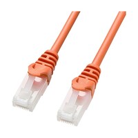 サンワサプライ ツメ折れ防止CAT5eLANケーブル LAY5TS10D