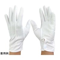 ウインセス ナイロン 礼装用手袋 L 1袋(10双入) 3005L1PX10