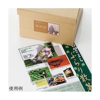 �T�����T�v���C�@���n�������Ȃ��}���`���x���@���h�T�C�Y�@�k�a�d�l�Q�S