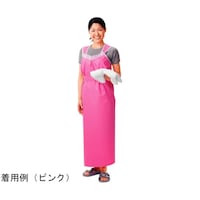 �s�W�����@�y�₩��p�G�v�����@�����O�^�C�v�@�����p�@�s���N�@�P�O�O�T�X�O�U