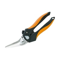 �A�Y�����@���\�n�T�~�i�p�x�t�^�C�v�j�@�s�a�g�Q�O�O