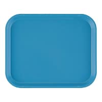 CAMBRO カムトレー(FRP) ロビンエッグブルー 810