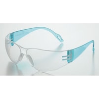 �g�[�A�{�[�W���@�q���p�ی�߂��ˁ@�y�ʃ��f���@�P���i�P�O���j