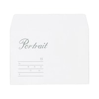 ハクバ 写真袋 大名刺 100枚入 MPBDM