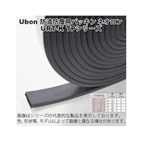 ���[�{���@�l�I�����@�p�^�s�c�L�@�Q�T�~�R�@�T�����@���@�t�q�s�j�Q�T�O�R�s�o