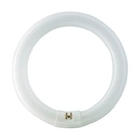 �����Y�Ɓ@�ߒ����@�s�k�d�@�Q�Q�v